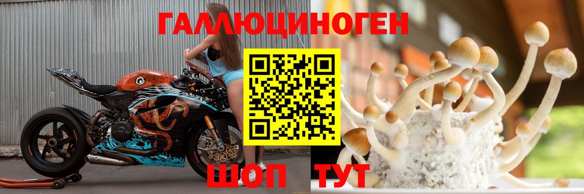 Псилоцибиновые грибы ЛСД Новочебоксарск